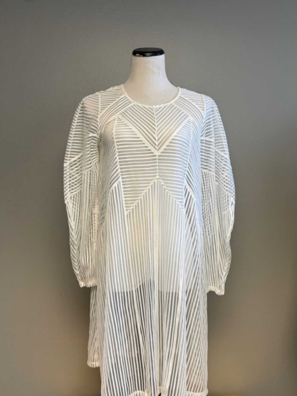 BCBG MaxAzria Sheer Dress With Slip